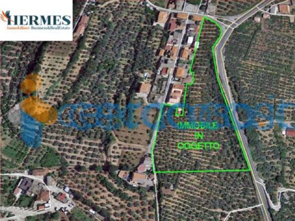 terreno agricolo in vendita a Lamezia Terme in zona Sant'Eufemia Vetere
