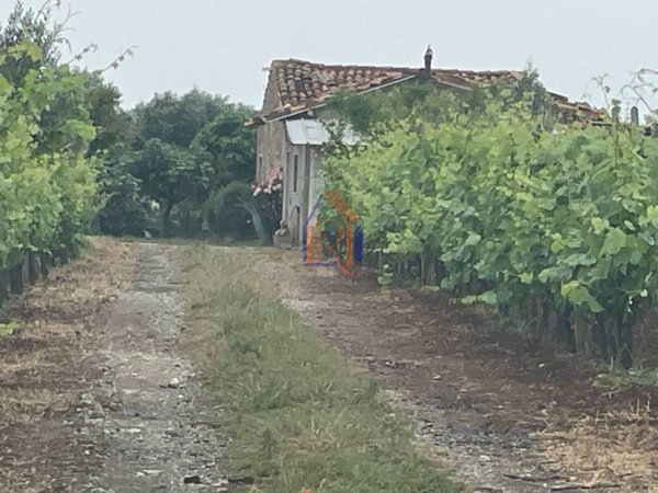 terreno agricolo in vendita a Lamezia Terme in zona Sambiase