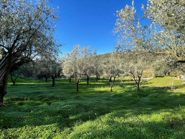 terreno agricolo in vendita a Lamezia Terme in zona Sambiase