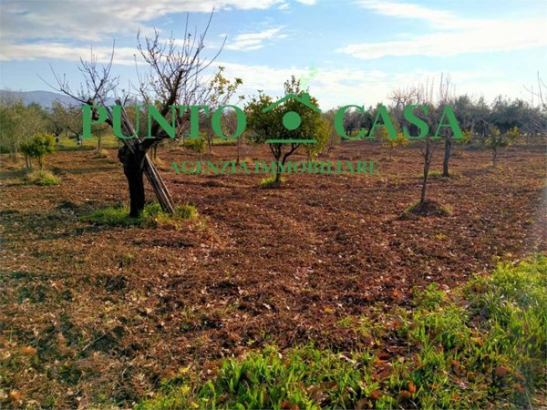 terreno agricolo in vendita a Lamezia Terme in zona Sambiase