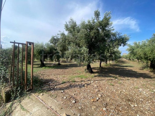 terreno agricolo in vendita a Lamezia Terme
