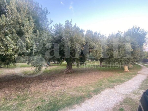 negozio in vendita a Lamezia Terme
