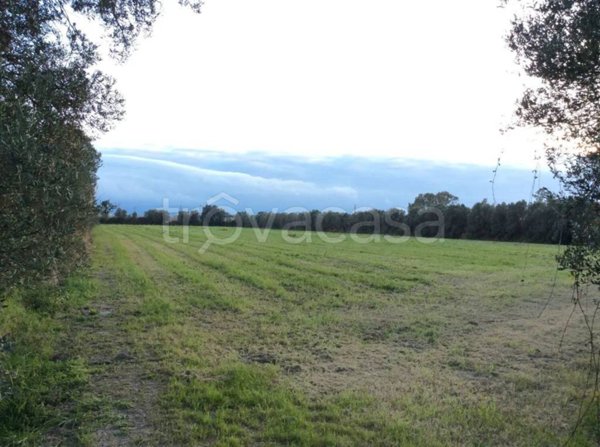 terreno agricolo in vendita a Lamezia Terme