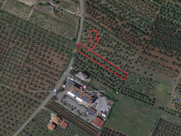 terreno agricolo in vendita a Lamezia Terme