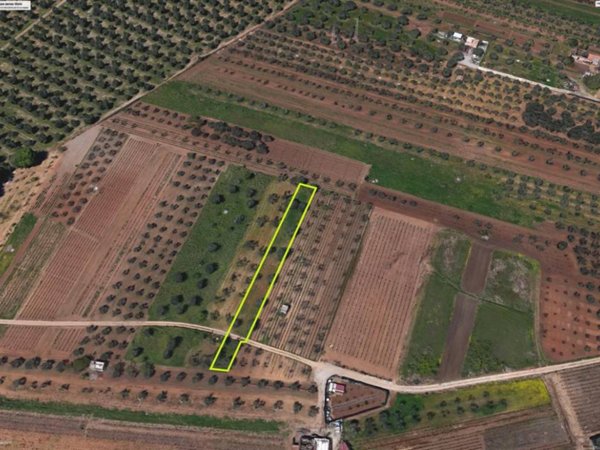 terreno agricolo in vendita a Lamezia Terme