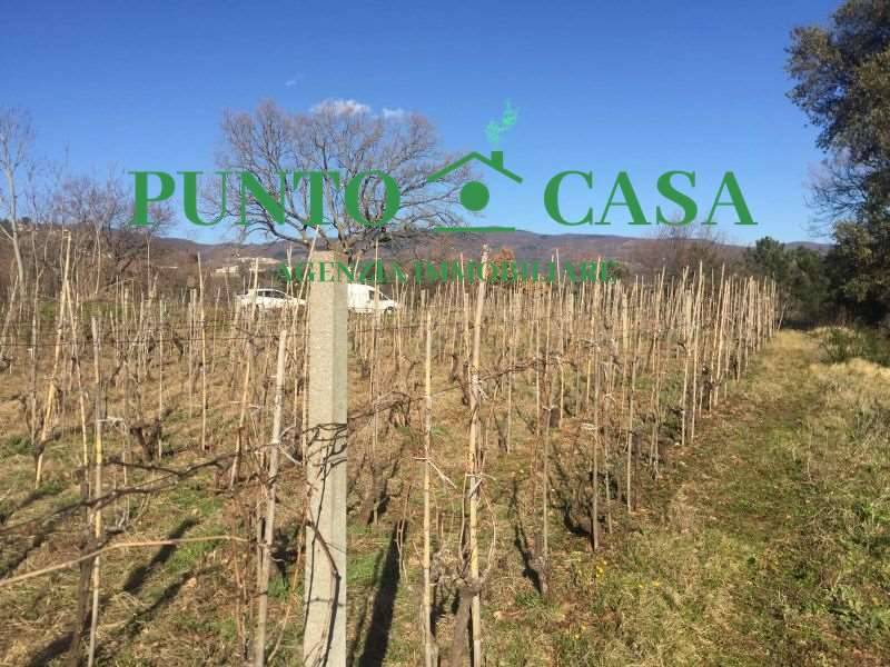 terreno agricolo in vendita a Lamezia Terme in zona Sambiase
