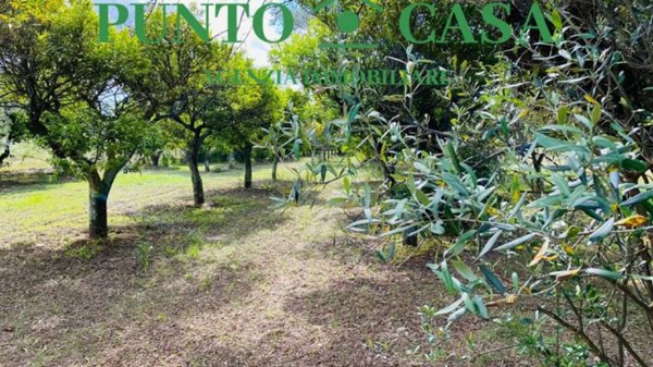terreno agricolo in vendita a Lamezia Terme in zona Sambiase