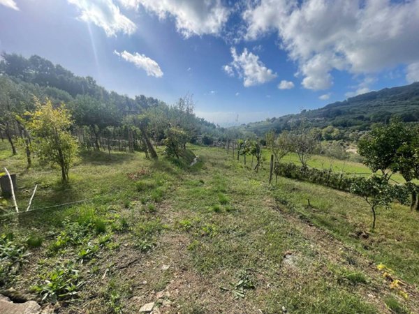 terreno agricolo in vendita a Lamezia Terme in zona Sambiase
