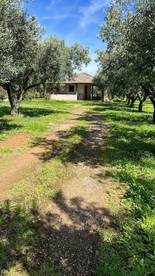 terreno agricolo in vendita a Lamezia Terme