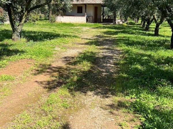 terreno agricolo in vendita a Lamezia Terme