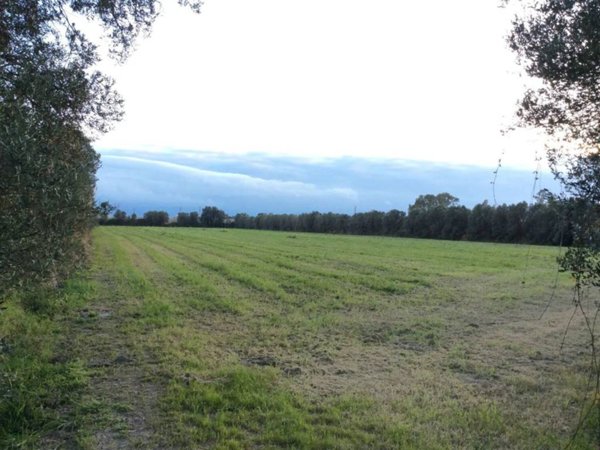 terreno agricolo in vendita a Lamezia Terme