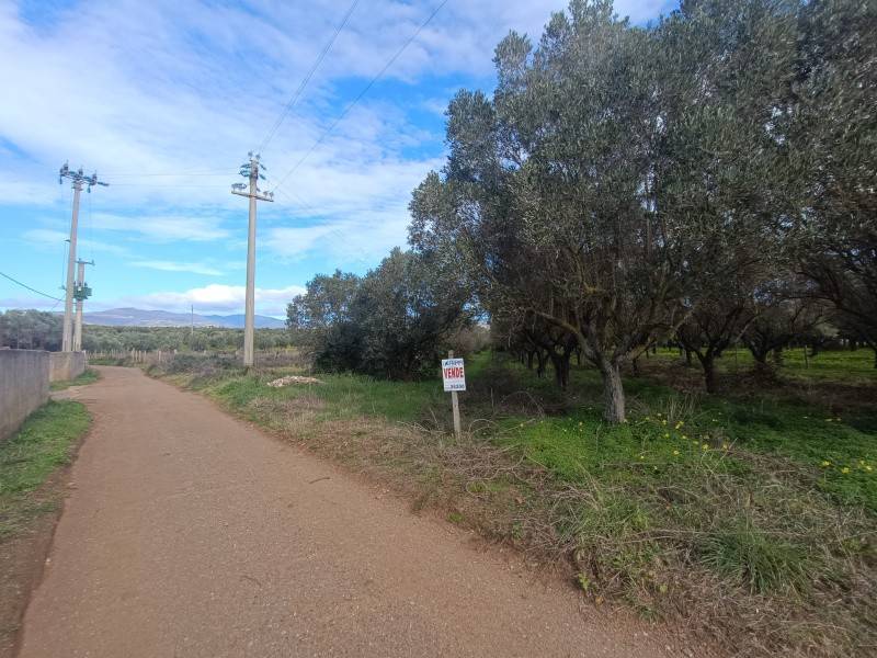 terreno agricolo in vendita a Lamezia Terme