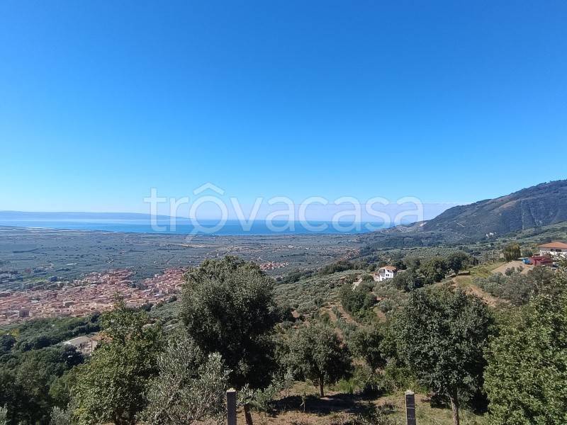 terreno agricolo in vendita a Lamezia Terme