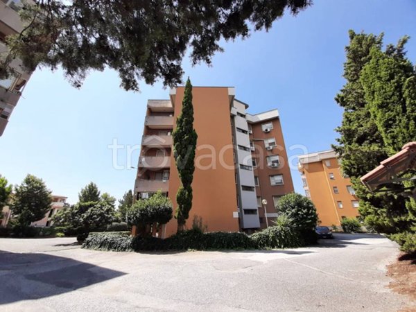appartamento in vendita a Lamezia Terme