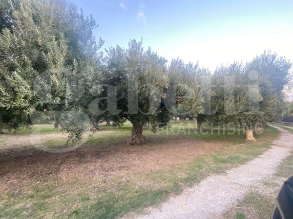 casa indipendente in vendita a Lamezia Terme