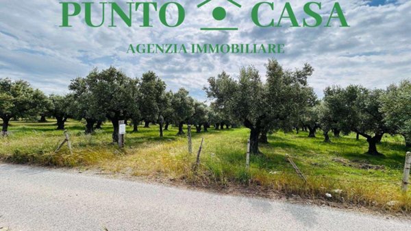 appartamento in vendita a Lamezia Terme