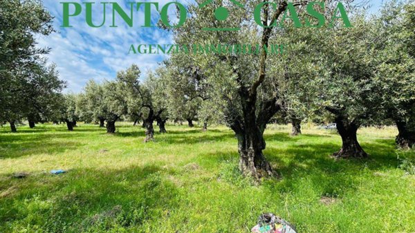 terreno agricolo in vendita a Lamezia Terme in zona Sant'Eufemia Lamezia