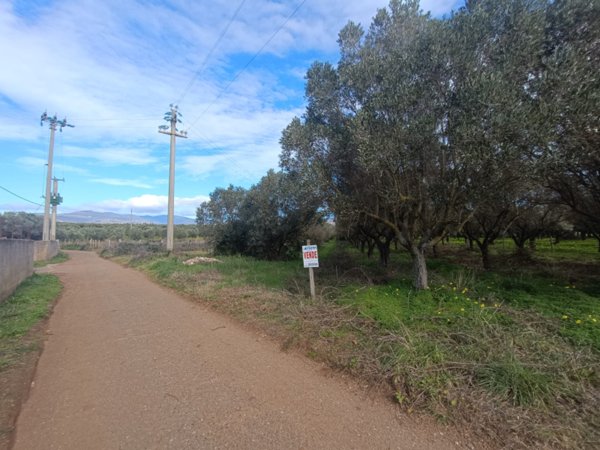 terreno agricolo in vendita a Lamezia Terme