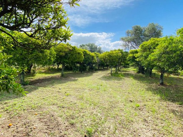 terreno agricolo in vendita a Lamezia Terme in zona Sambiase