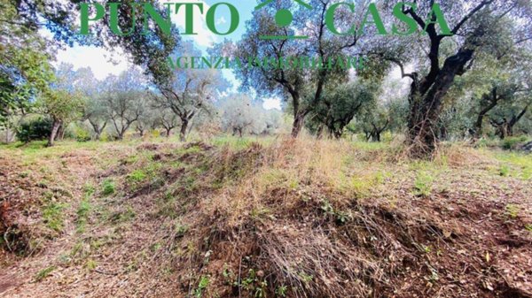terreno agricolo in vendita a Lamezia Terme in zona Sambiase