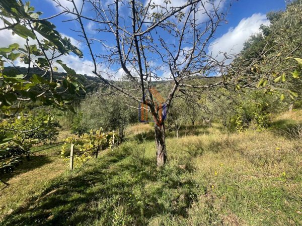 terreno agricolo in vendita a Lamezia Terme