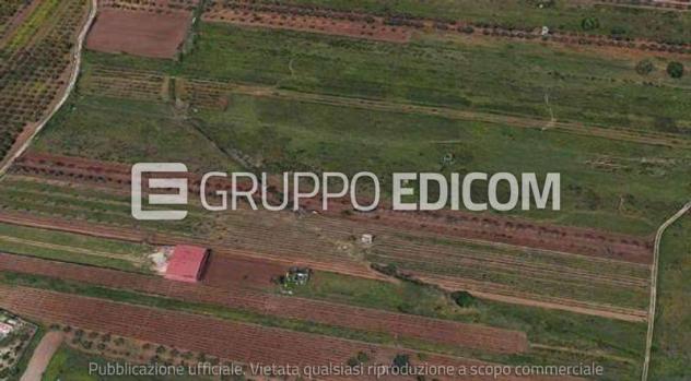 terreno agricolo in vendita a Lamezia Terme