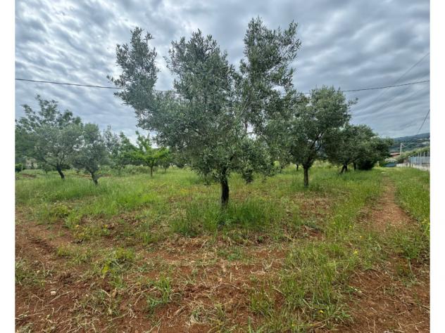terreno agricolo in vendita a Lamezia Terme