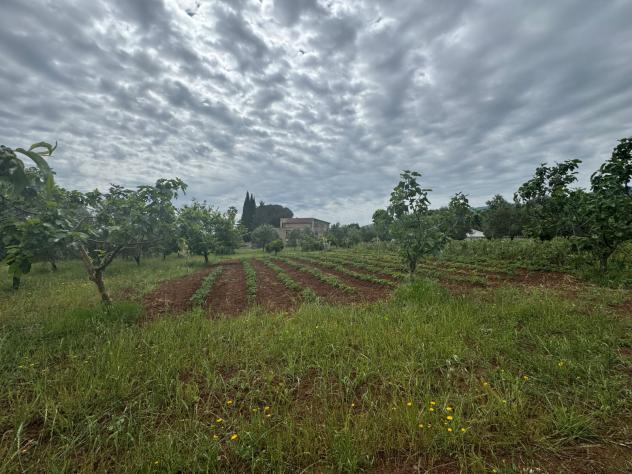terreno agricolo in vendita a Lamezia Terme