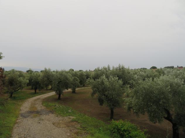 terreno agricolo in vendita a Lamezia Terme