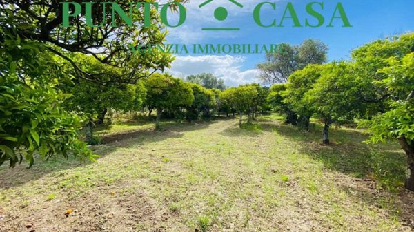 terreno agricolo in vendita a Lamezia Terme in zona Sambiase