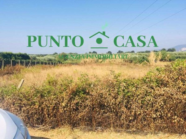 terreno agricolo in vendita a Lamezia Terme in zona Nicastro