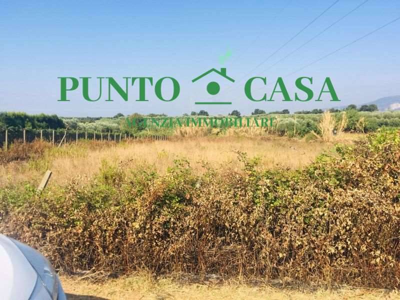 terreno agricolo in vendita a Lamezia Terme in zona Nicastro