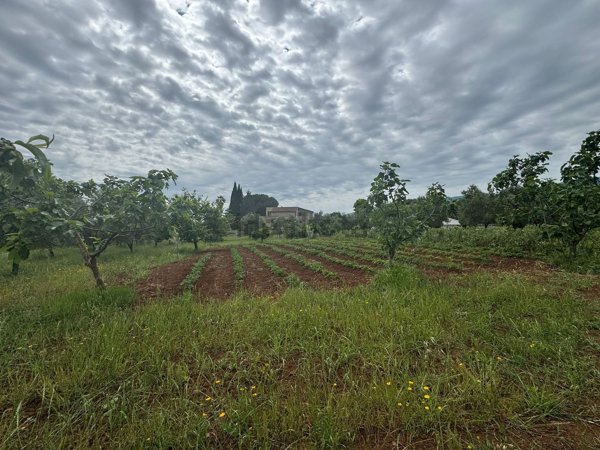 terreno agricolo in vendita a Lamezia Terme