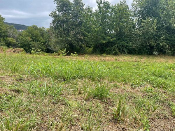 terreno agricolo in vendita a Lamezia Terme in zona Fronti