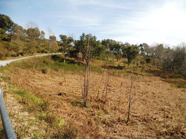 terreno agricolo in vendita a Lamezia Terme in zona Bucolia