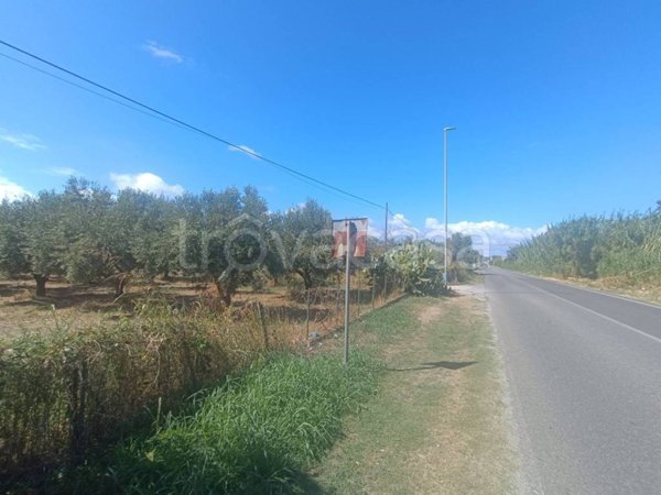 terreno agricolo in vendita a Lamezia Terme