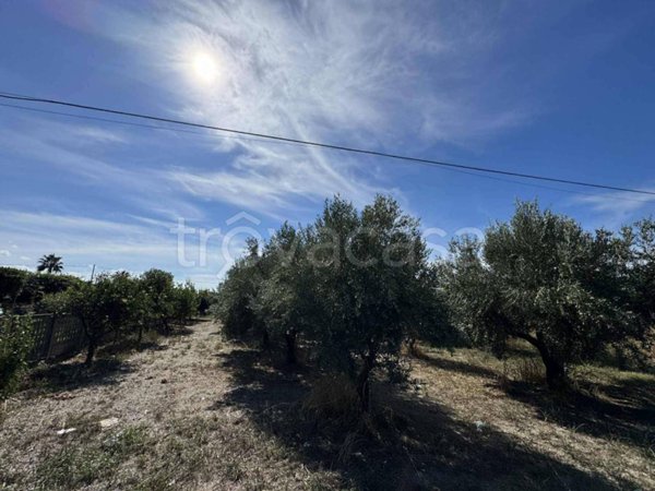terreno agricolo in vendita a Lamezia Terme