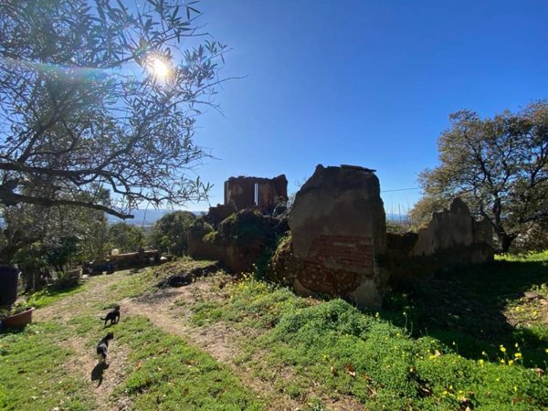 terreno agricolo in vendita a Lamezia Terme in zona Sambiase