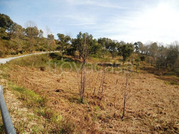 terreno agricolo in vendita a Lamezia Terme in zona Bucolia