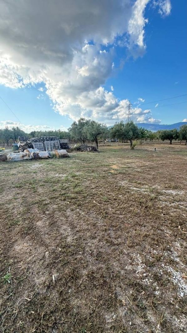 terreno agricolo in vendita a Lamezia Terme in zona Carrà