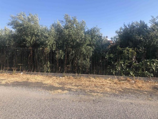 terreno agricolo in vendita a Lamezia Terme