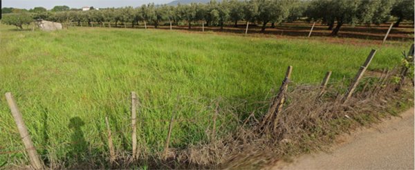 terreno agricolo in vendita a Lamezia Terme in zona Nicastro