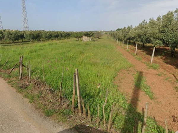 terreno agricolo in vendita a Lamezia Terme in zona Nicastro