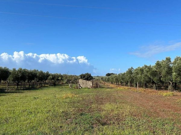 terreno agricolo in vendita a Lamezia Terme in zona Nicastro