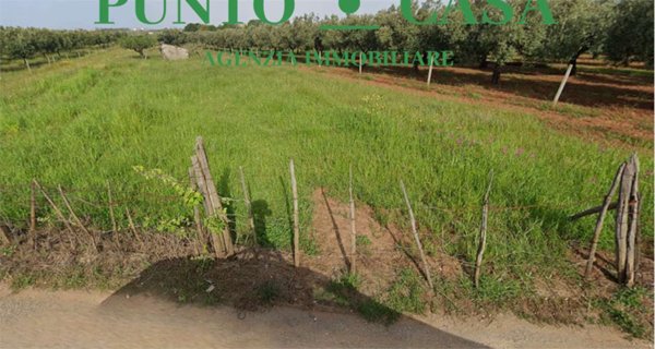 terreno agricolo in vendita a Lamezia Terme in zona Nicastro