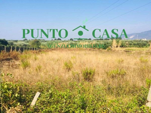 terreno agricolo in vendita a Lamezia Terme in zona Nicastro