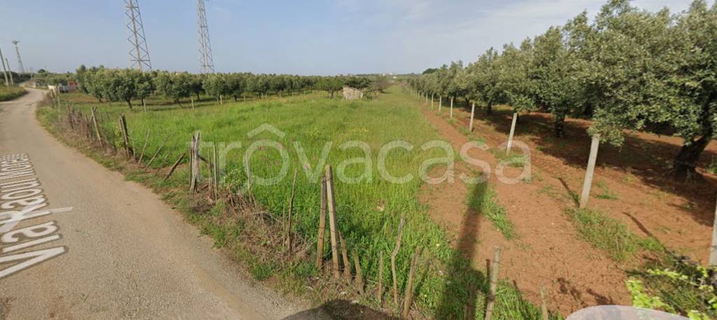 terreno agricolo in vendita a Lamezia Terme in zona Nicastro
