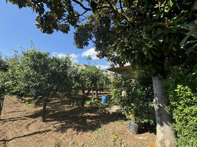 terreno agricolo in vendita a Lamezia Terme in zona Nicastro