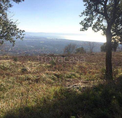 terreno agricolo in vendita a Lamezia Terme in zona Sambiase