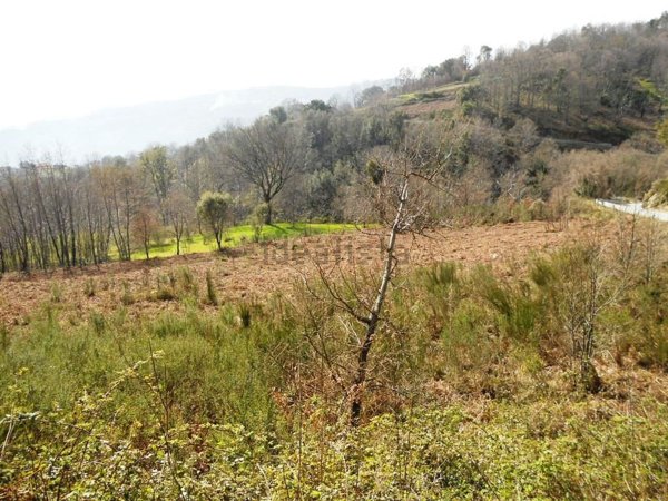 terreno agricolo in vendita a Lamezia Terme in zona Bucolia